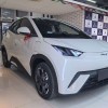 Seagull 2025 305km Freedom Edition