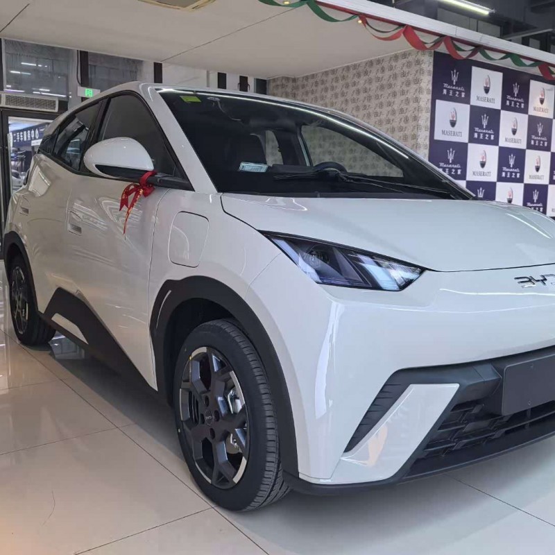 Seagull 2025 305km Freedom Edition Seagull 2025 305km Freedom Edition