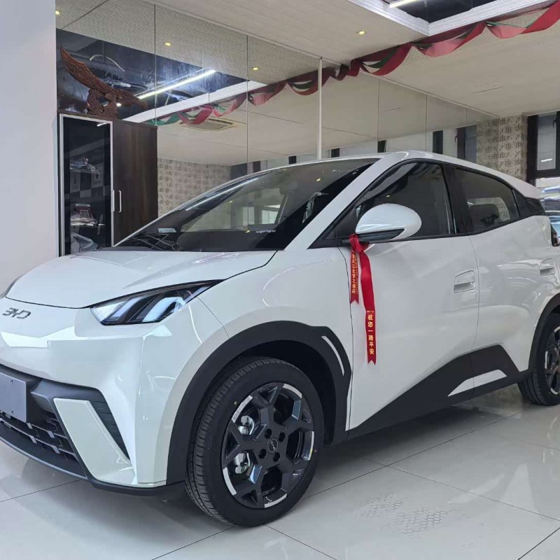 Seagull 2025 305km Freedom Edition Seagull 2025 305km Freedom Edition