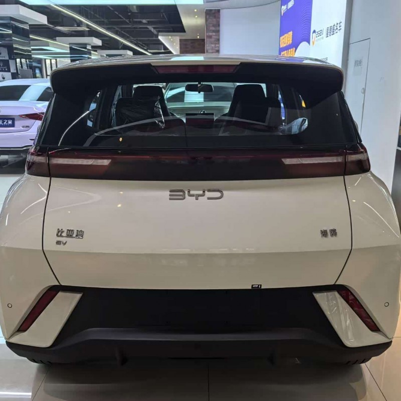 Seagull 2025 305km Freedom Edition Seagull 2025 305km Freedom Edition
