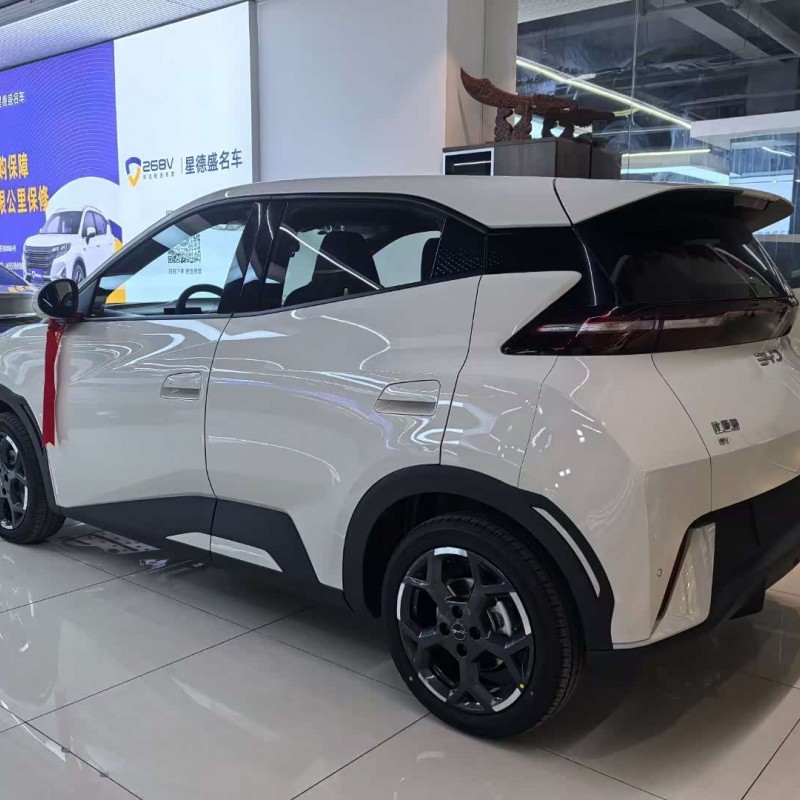 Seagull 2025 305km Freedom Edition Seagull 2025 305km Freedom Edition