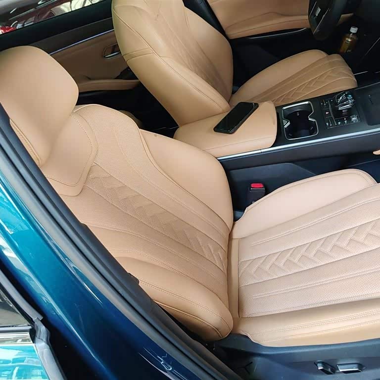 Song L DM-i 2024 model 160km surpassing model Song L DM-i 2024 model 160km surpassing model