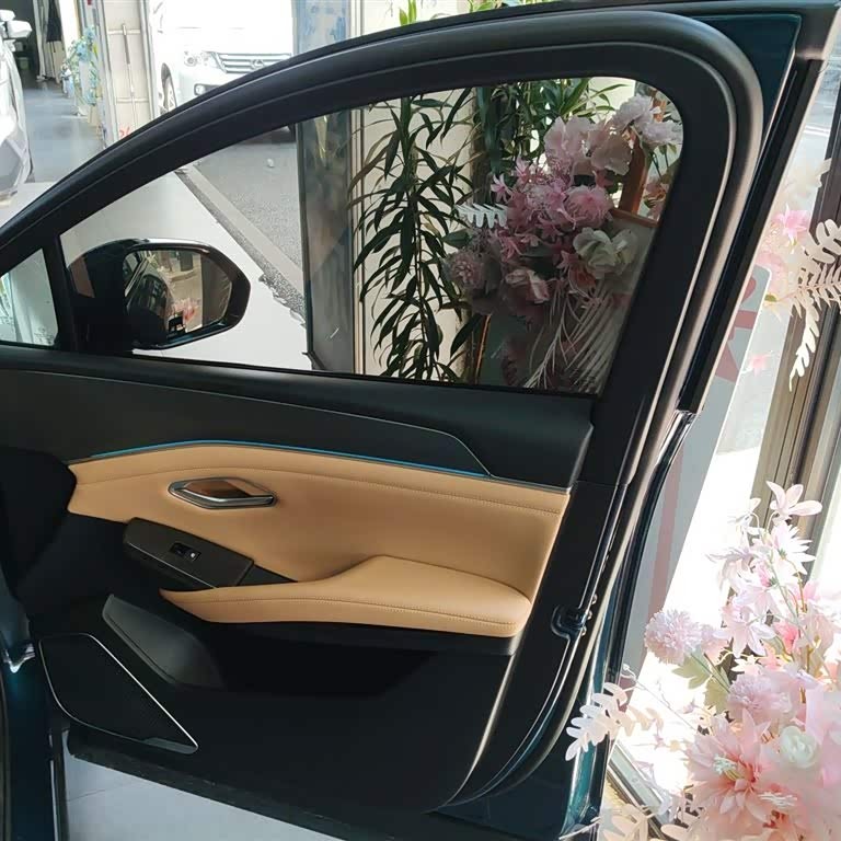 Song L DM-i 2024 model 160km surpassing model Song L DM-i 2024 model 160km surpassing model