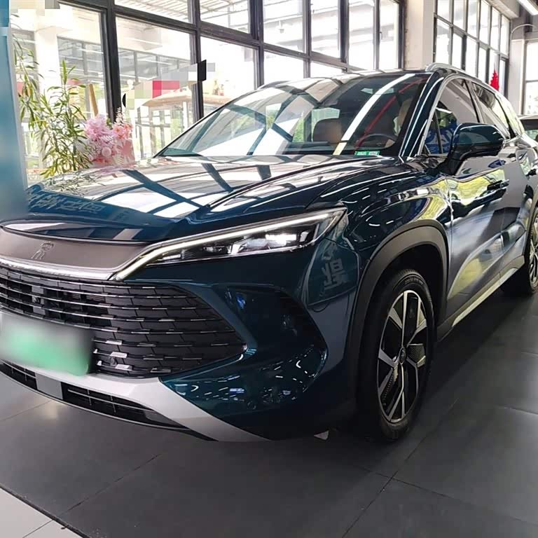 Song L DM-i 2024 model 160km surpassing model Song L DM-i 2024 model 160km surpassing model