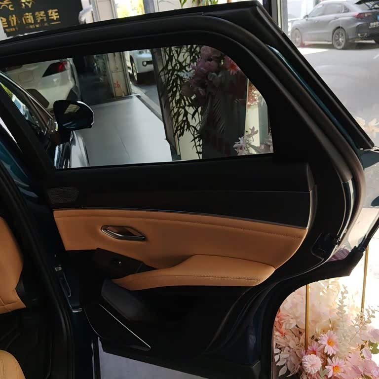 Song L DM-i 2024 model 160km surpassing model Song L DM-i 2024 model 160km surpassing model