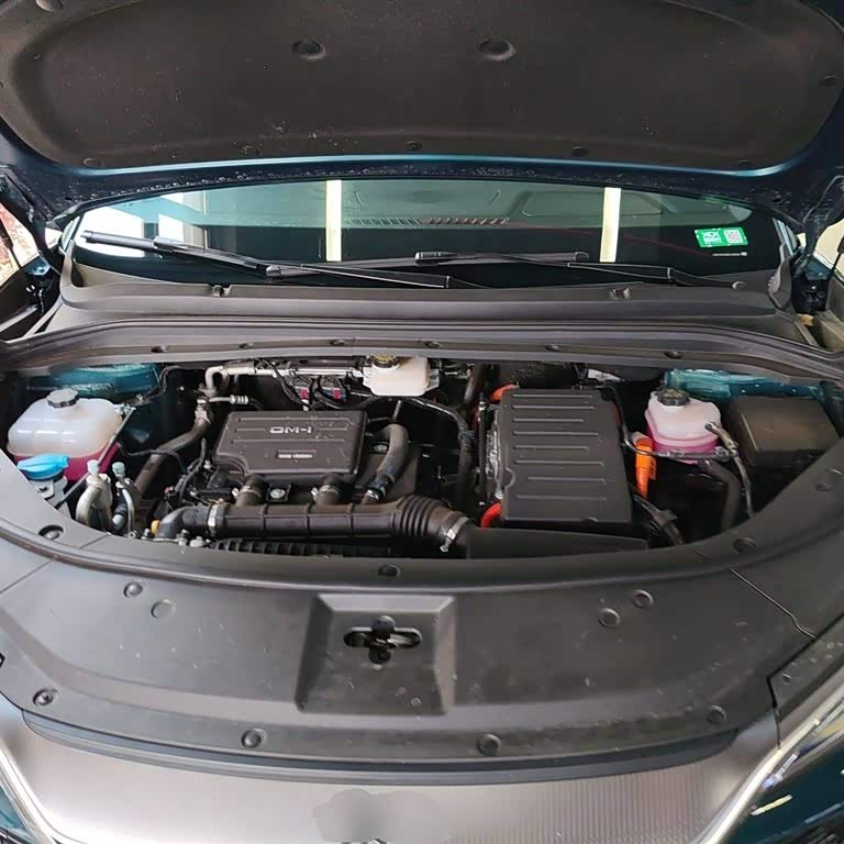 Song L DM-i 2024 model 160km surpassing model Song L DM-i 2024 model 160km surpassing model