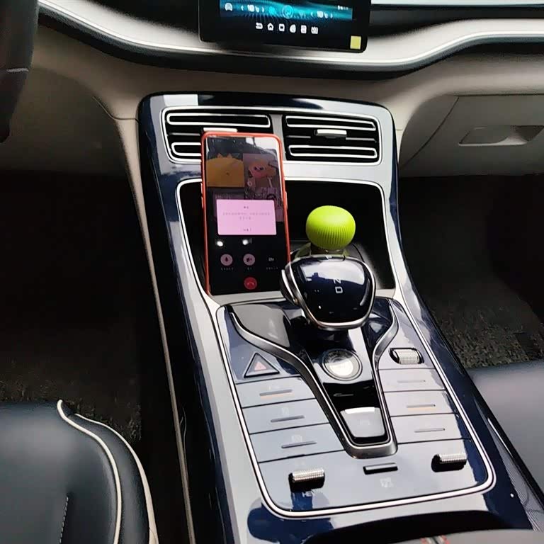Qin PLUS 2021 DM-i 55KM Flagship Edition Qin PLUS 2021 DM-i 55KM Flagship Edition