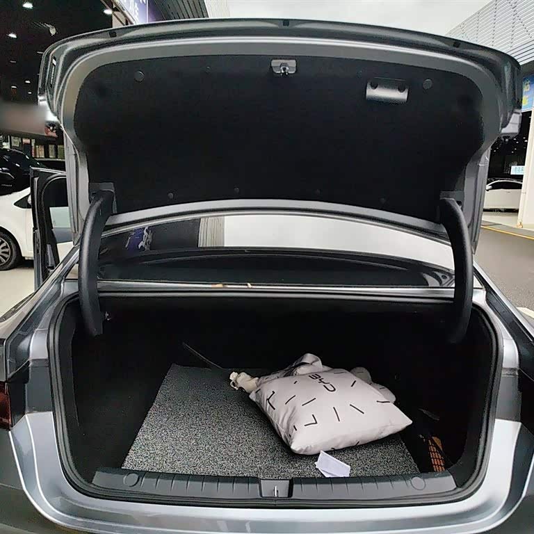 Qin PLUS 2021 DM-i 55KM Flagship Edition Qin PLUS 2021 DM-i 55KM Flagship Edition
