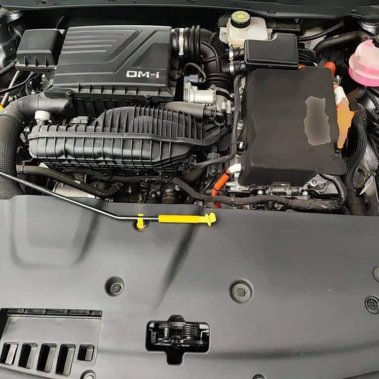Qin PLUS 2021 DM-i 55KM Flagship Edition Qin PLUS 2021 DM-i 55KM Flagship Edition
