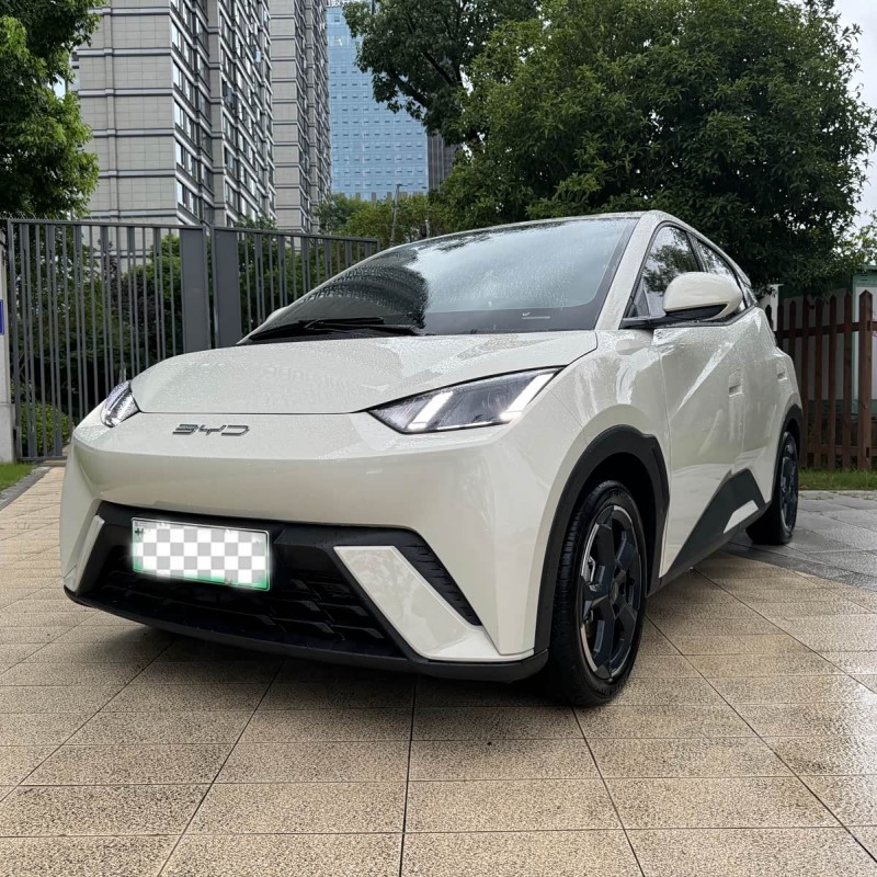 Seagull 2024 Glory Edition 305km Freedom Edition Seagull 2024 Glory Edition 305km Freedom Edition