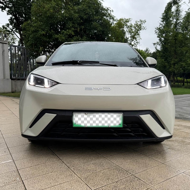 Seagull 2024 Glory Edition 305km Freedom Edition Seagull 2024 Glory Edition 305km Freedom Edition