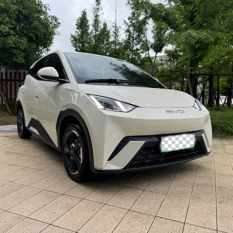 Seagull 2024 Glory Edition 305km Freedom Edition Seagull 2024 Glory Edition 305km Freedom Edition