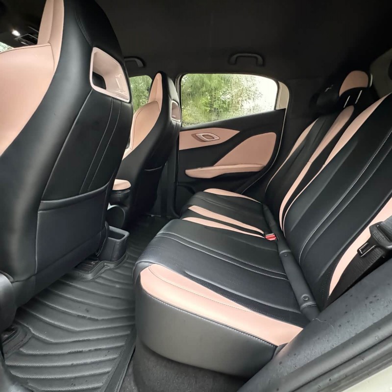 Seagull 2024 Glory Edition 305km Freedom Edition Seagull 2024 Glory Edition 305km Freedom Edition