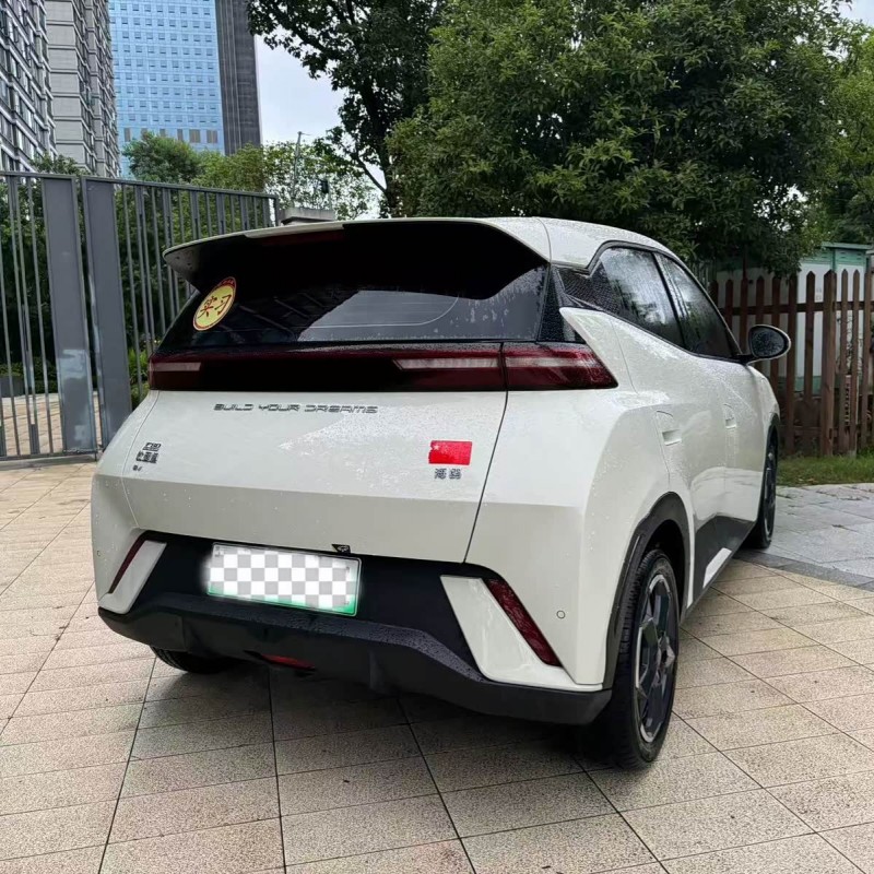 Seagull 2024 Glory Edition 305km Freedom Edition Seagull 2024 Glory Edition 305km Freedom Edition