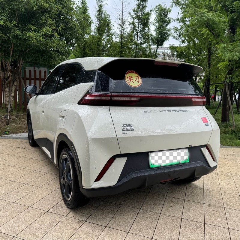 Seagull 2024 Glory Edition 305km Freedom Edition Seagull 2024 Glory Edition 305km Freedom Edition
