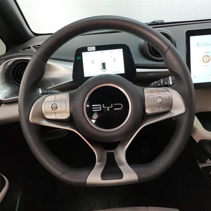 Dolphin 2023 420km Freedom Edition Dolphin 2023 420km Freedom Edition