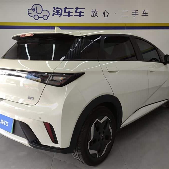 Dolphin 2023 420km Freedom Edition Dolphin 2023 420km Freedom Edition