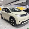 Dolphin 2025 420km Freedom Edition