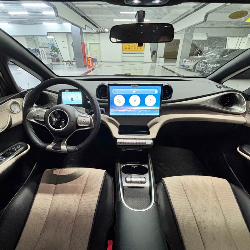Dolphin 2025 420km Freedom Edition Dolphin 2025 420km Freedom Edition