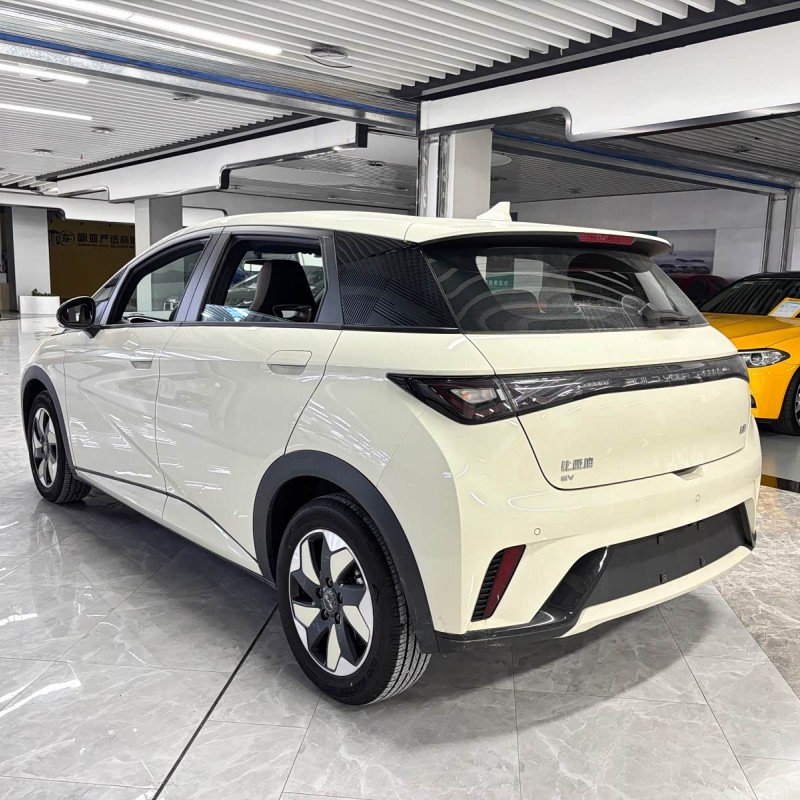 Dolphin 2025 420km Freedom Edition Dolphin 2025 420km Freedom Edition