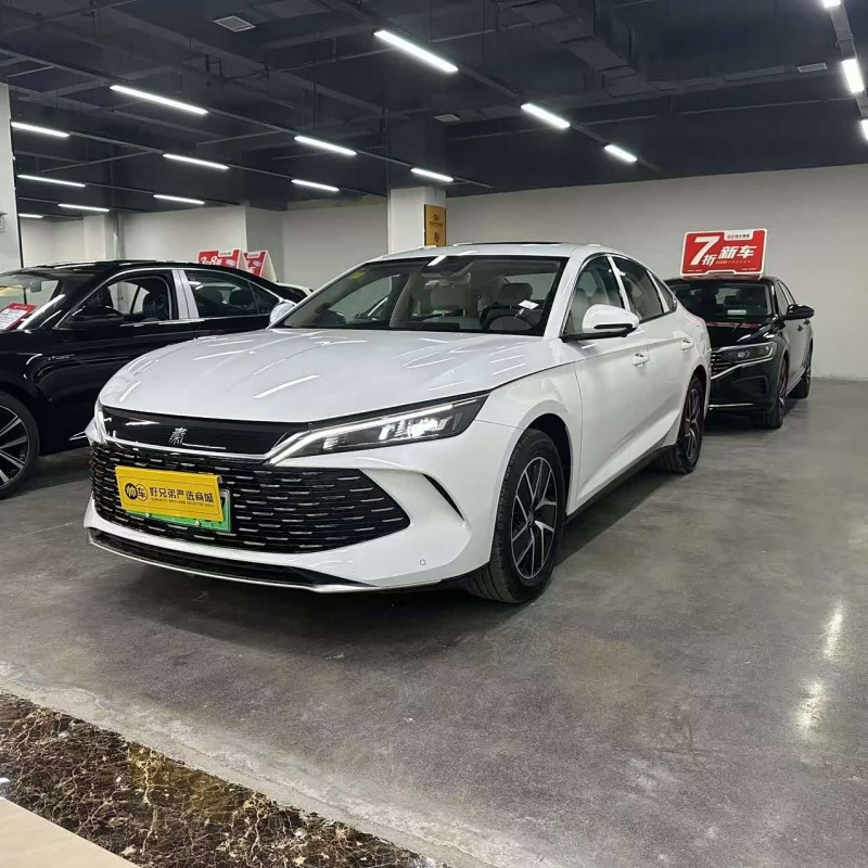 Qin L 2024 DM-i 120KM Leading Edition