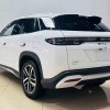 Song L DM-i 2024 model 112km surpassing model Song L DM-i 2024 model 112km surpassing model