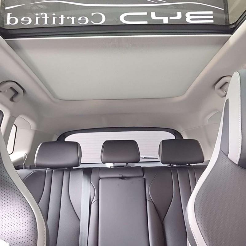 Sea Lion 05 DM-i 2025 DM-i 75KM Premium Edition Sea Lion 05 DM-i 2025 DM-i 75KM Premium Edition