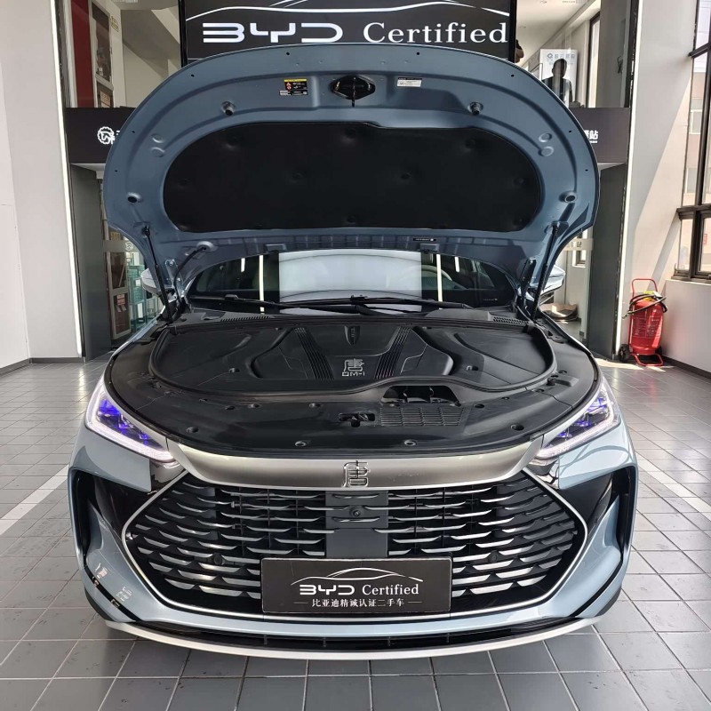 Tang New Energy 2024 DM-i Honor Edition 112KM Flagship Model Tang New Energy 2024 DM-i Honor Edition 112KM Flagship Model
