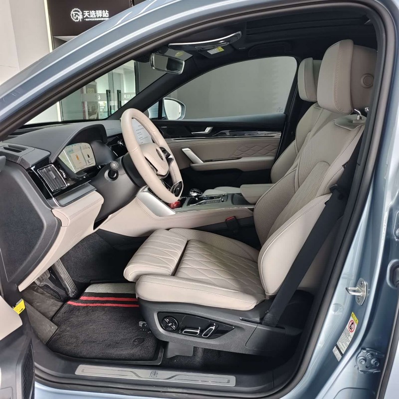 Tang New Energy 2024 DM-i Honor Edition 112KM Flagship Model Tang New Energy 2024 DM-i Honor Edition 112KM Flagship Model