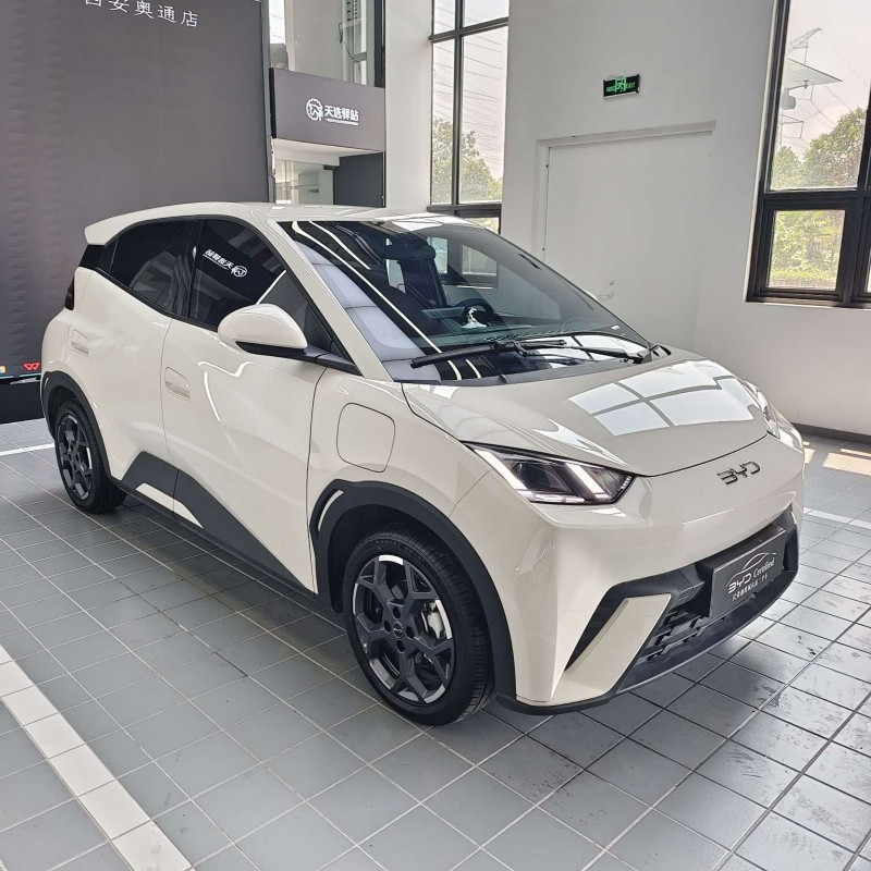 Seagull 2025 305km Freedom Edition Seagull 2025 305km Freedom Edition