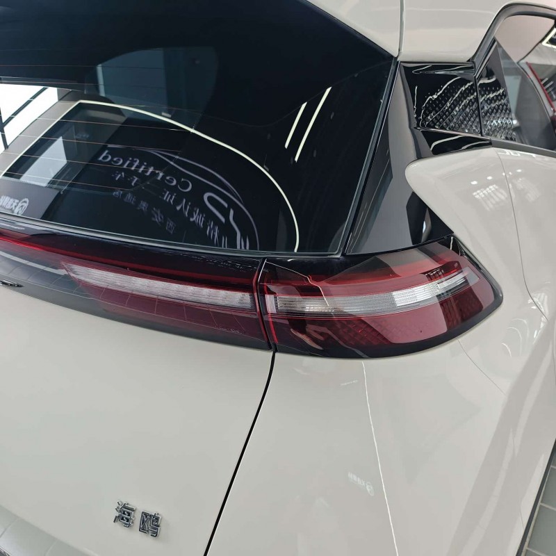 Seagull 2025 305km Freedom Edition Seagull 2025 305km Freedom Edition