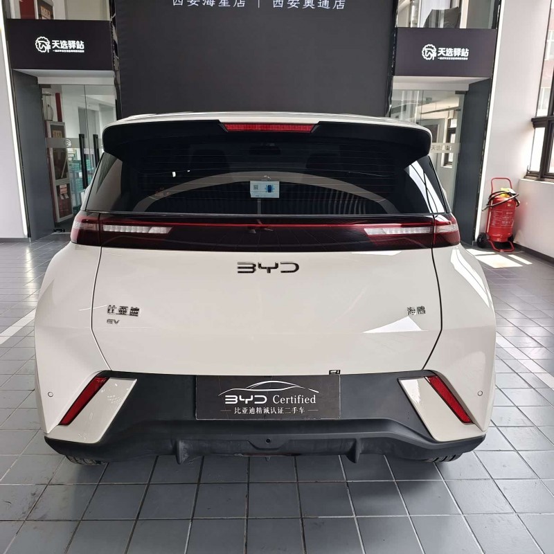 Seagull 2025 305km Freedom Edition Seagull 2025 305km Freedom Edition
