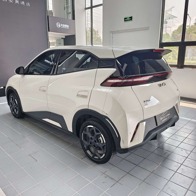 Seagull 2025 305km Freedom Edition Seagull 2025 305km Freedom Edition