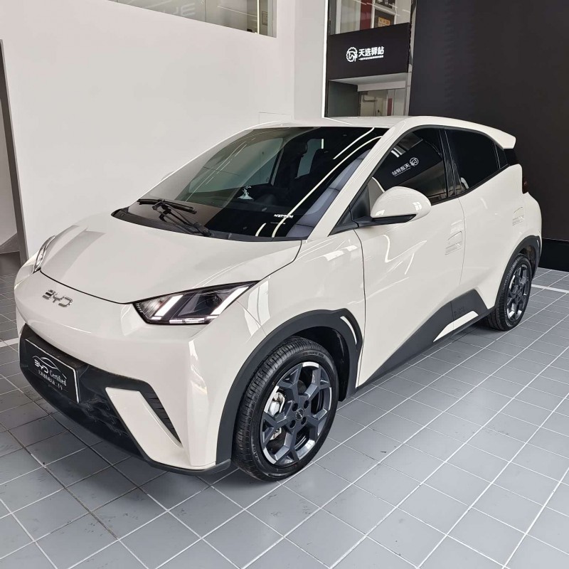 Seagull 2025 305km Freedom Edition Seagull 2025 305km Freedom Edition
