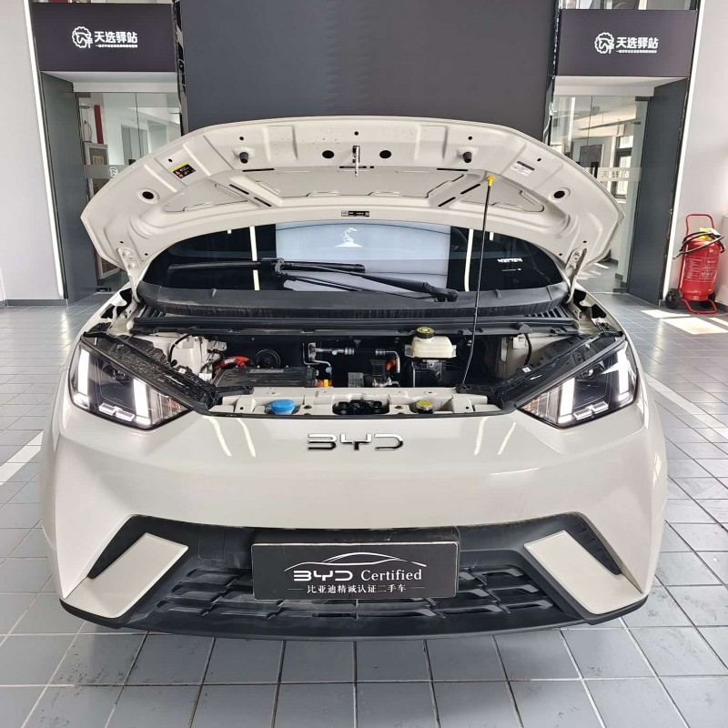 Seagull 2025 305km Freedom Edition Seagull 2025 305km Freedom Edition