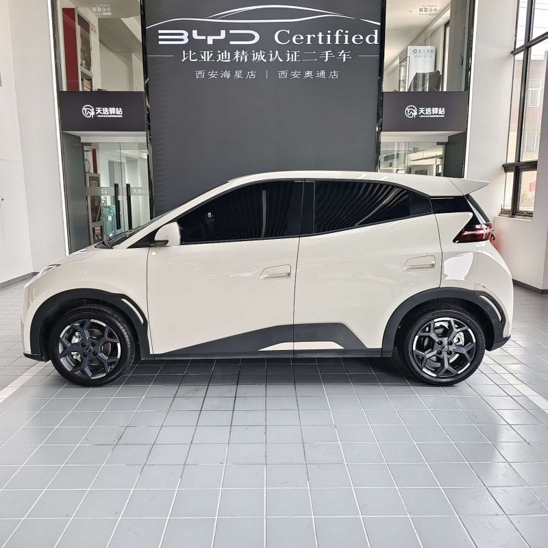Seagull 2025 305km Freedom Edition Seagull 2025 305km Freedom Edition