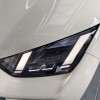 Seagull 2025 305km Freedom Edition Seagull 2025 305km Freedom Edition