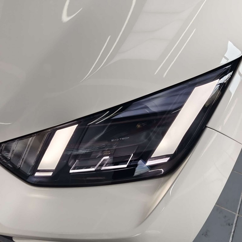 Seagull 2025 305km Freedom Edition Seagull 2025 305km Freedom Edition