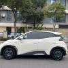 Seagull 2025 Smart Driving Edition 305km Vitality Edition