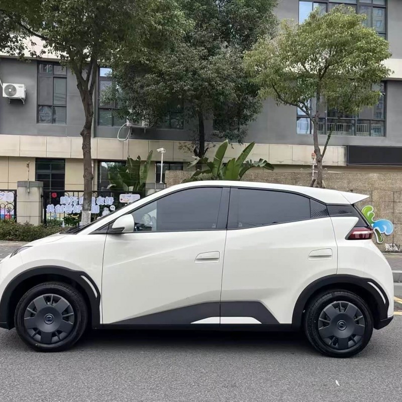 Seagull 2025 Smart Driving Edition 305km Vitality Edition Seagull 2025 Smart Driving Edition 305km Vitality Edition