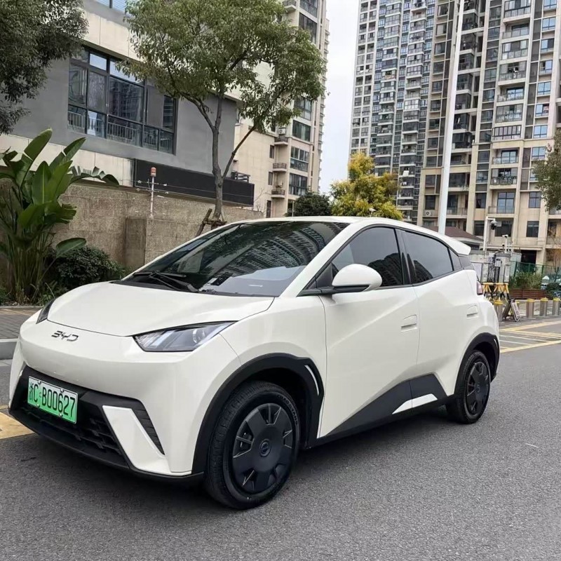 Seagull 2025 Smart Driving Edition 305km Vitality Edition Seagull 2025 Smart Driving Edition 305km Vitality Edition