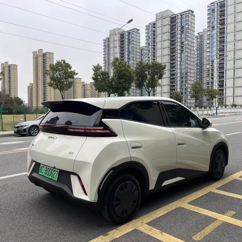 Seagull 2025 Smart Driving Edition 305km Vitality Edition Seagull 2025 Smart Driving Edition 305km Vitality Edition