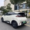 Seagull 2025 Smart Driving Edition 305km Vitality Edition