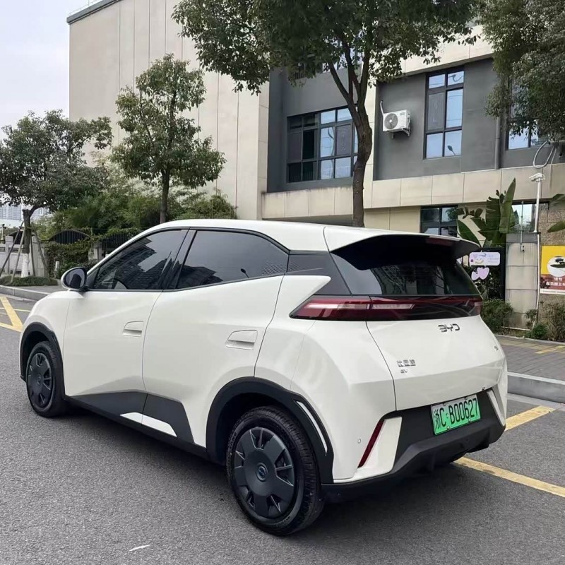 Seagull 2025 Smart Driving Edition 305km Vitality Edition Seagull 2025 Smart Driving Edition 305km Vitality Edition
