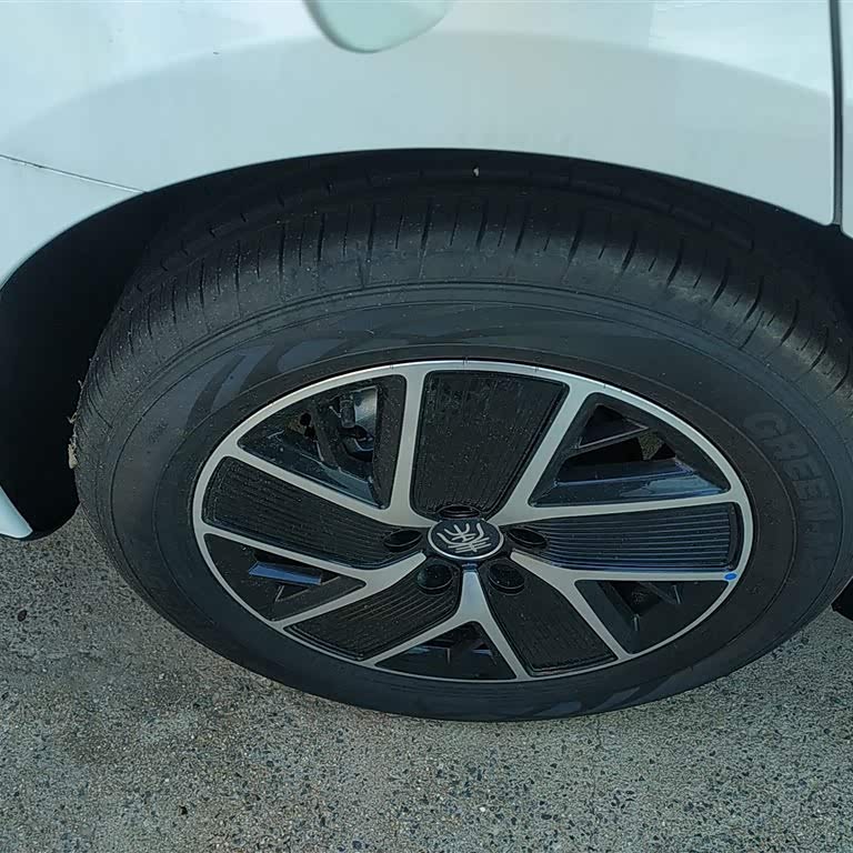 Qin L 2024 DM-i 80KM Beyond Edition Qin L 2024 DM-i 80KM Beyond Edition