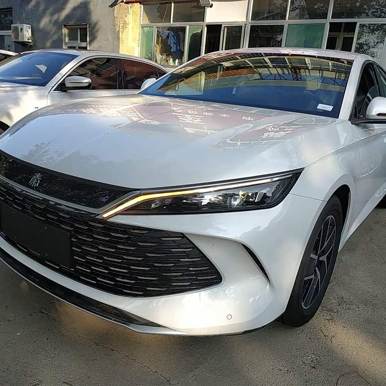 Qin L 2024 DM-i 80KM Beyond Edition