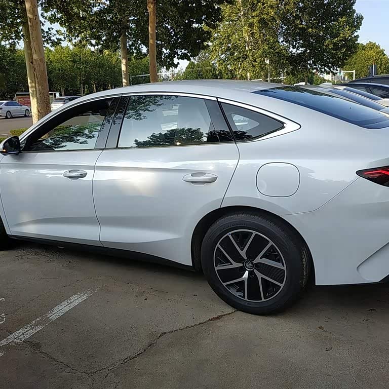 Qin L 2024 DM-i 80KM Beyond Edition Qin L 2024 DM-i 80KM Beyond Edition