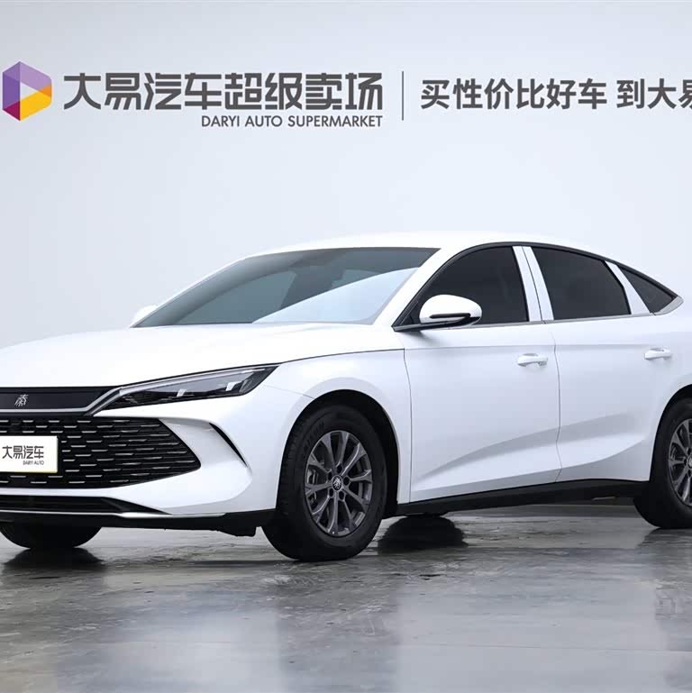 Qin L 2024 DM-i 80KM Leading Edition