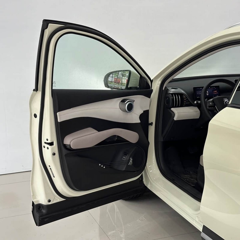 Yuan PLUS 2025 Smart Driving Edition 510KM Beyond Edition Yuan PLUS 2025 Smart Driving Edition 510KM Beyond Edition