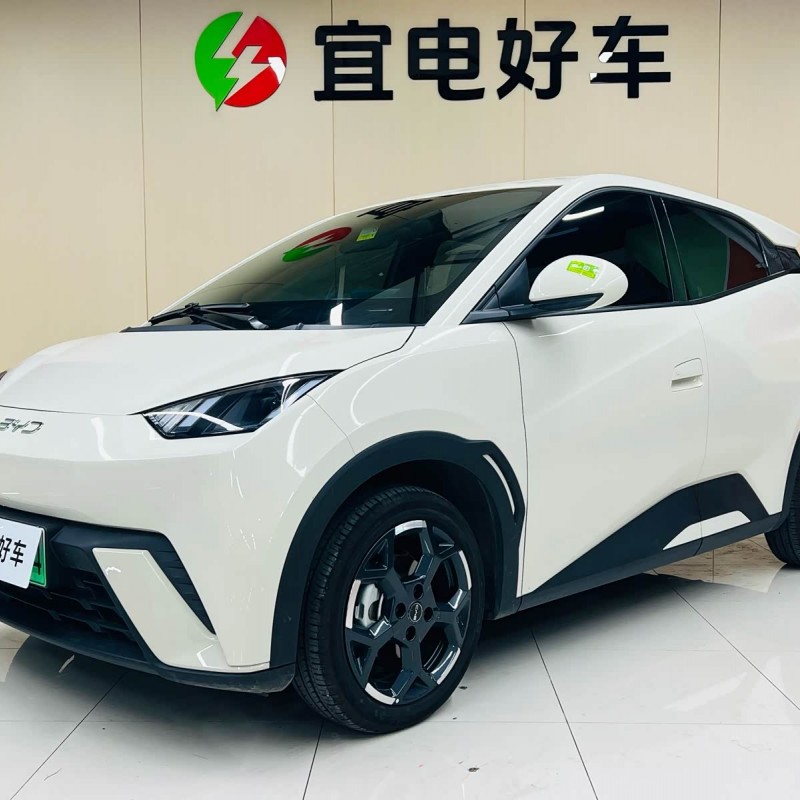 Seagull 2025 305km Freedom Edition